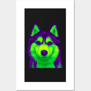 Purple and Green Husky Posters and Art